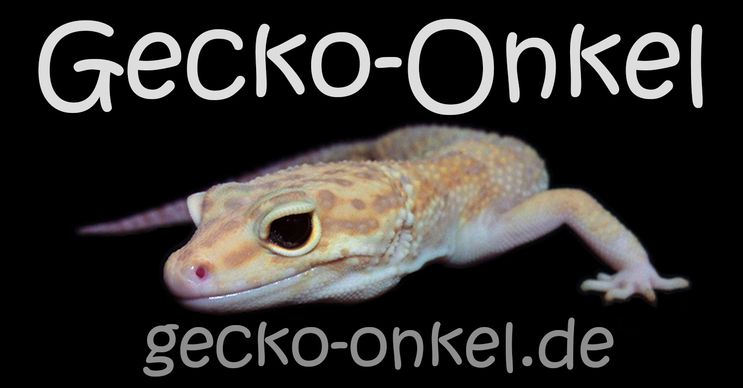 (c) Gecko-onkel.de